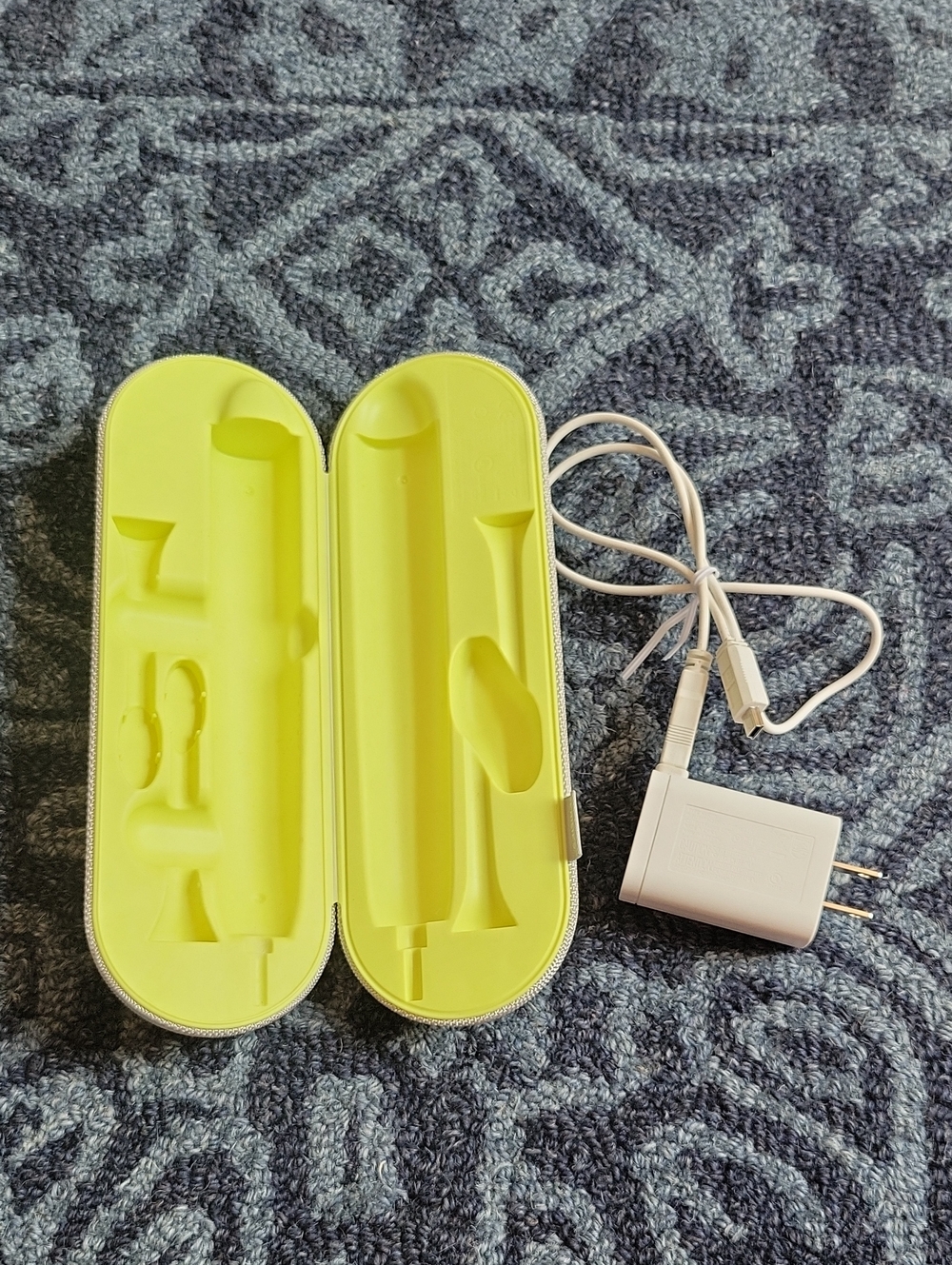 Philips Sonicare Toothbrush Charging Case